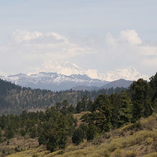 Eastern Himalayan subalpine conifer forests