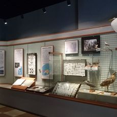 Kumejima Museum