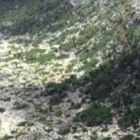 ナヴァッサ島