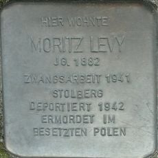 Moritz Levy