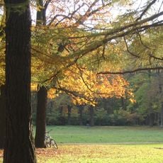 Udelny Park