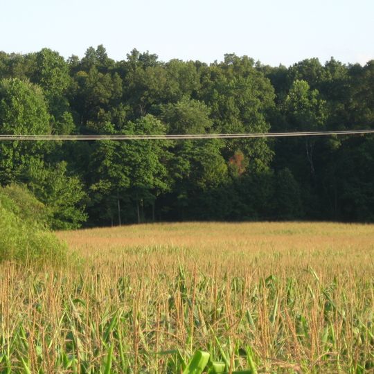 Ennis Archaeological Site