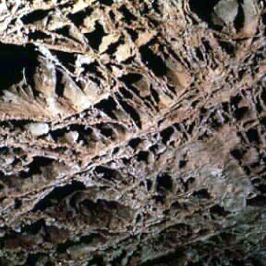 Parco nazionale di Wind Cave