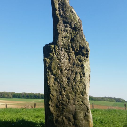 Verziau of Gargantua