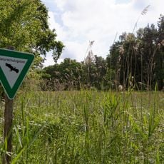 Naturschutzgebiet Rodauwiesen bei Rollwald