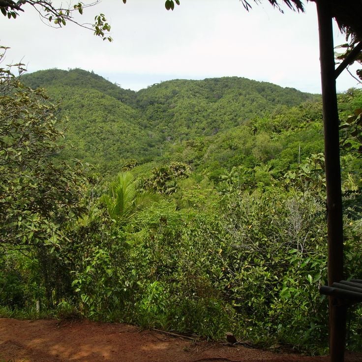 Vallée de Mai