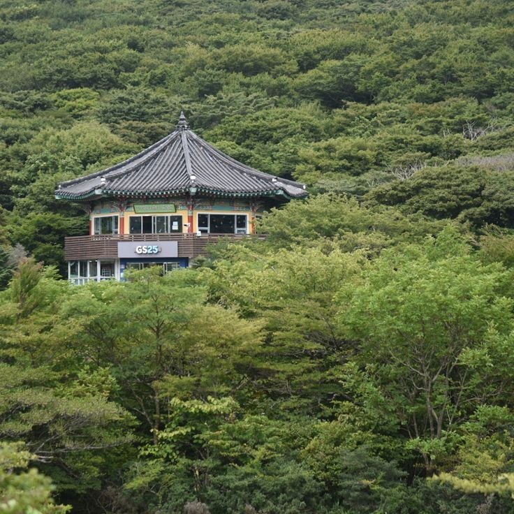 1100 Highland Wetland