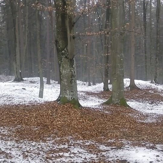 Hügelgräberfeld Giging