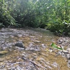 Baiyer River Sanctuary