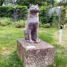 Katze