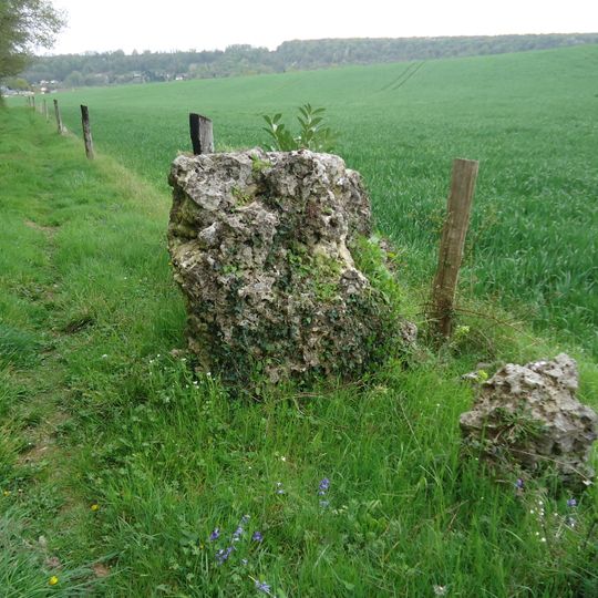 Menhir de la Pierre Saint-Martin