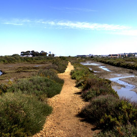 Paraje Natural Marismas del Odiel