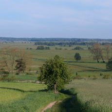 Gothensee und Thurbruch