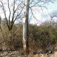 7. zastavení křížové cesty Ondřejov - Kaliště