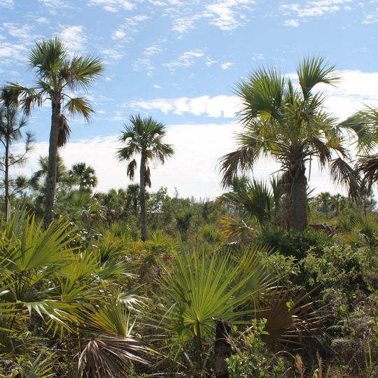 Parco nazionale di Lucayen