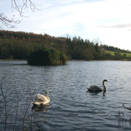 Falcondale Lake