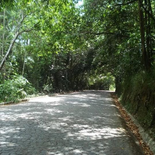 Saltinho Biological Reserve