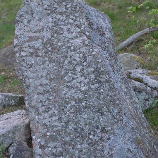 Södermanland Runic Inscription 119