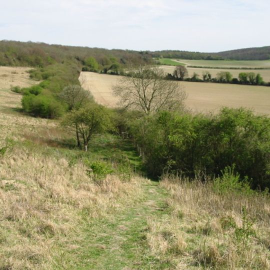 Down Bank