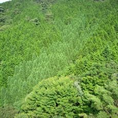 西お多福山
