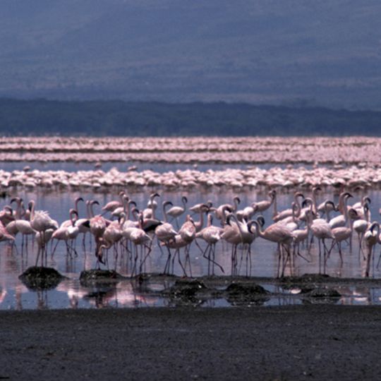 Kenya Lake System in the Great Rift Valley