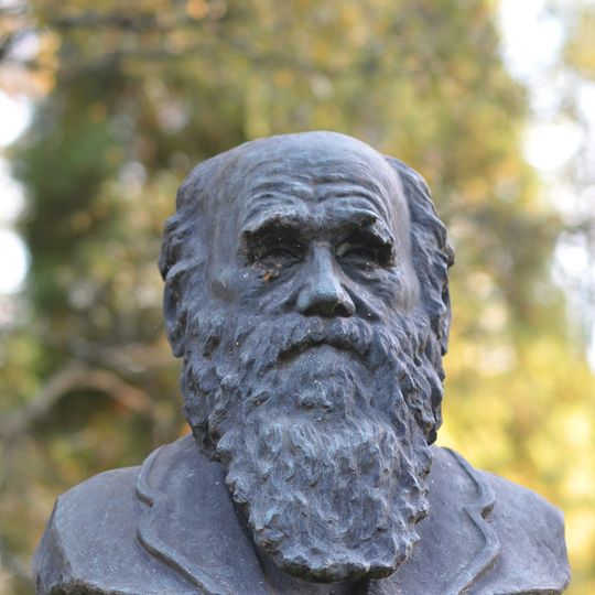 Бюст великого английского ученого Ч. Дарвина