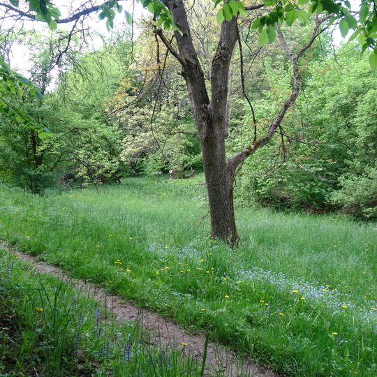 Na želechovických pasekách