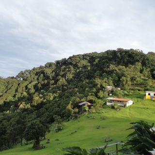 Cerro El Pital
