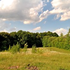 Shliakhtyntsi Botanical sanctuary