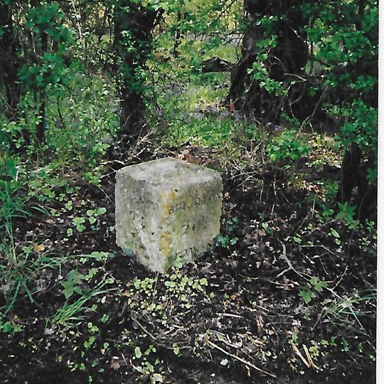 Milestone, Reigate Road, 80m N of Horseshoe Farm, Duxhurst