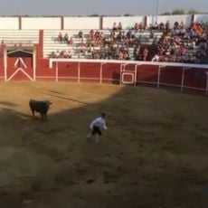 Plaza de toros de Zarza la Mayor