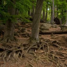 Felsberg bei Reichenbach