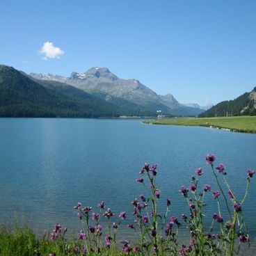 Guide of the 20 best lakes to swim in Switzerland