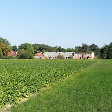 Schmutterwäldchen bei Bäumenheim