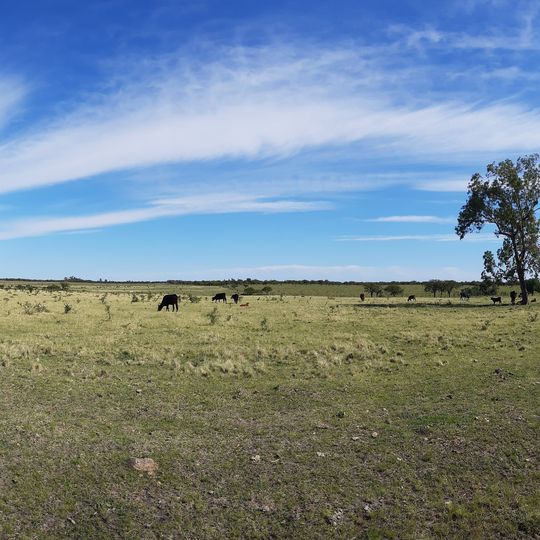 Dipartimento di San José de Feliciano