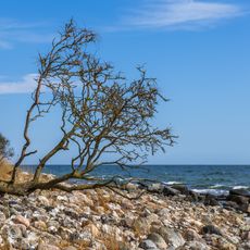 Insel Fehmarn