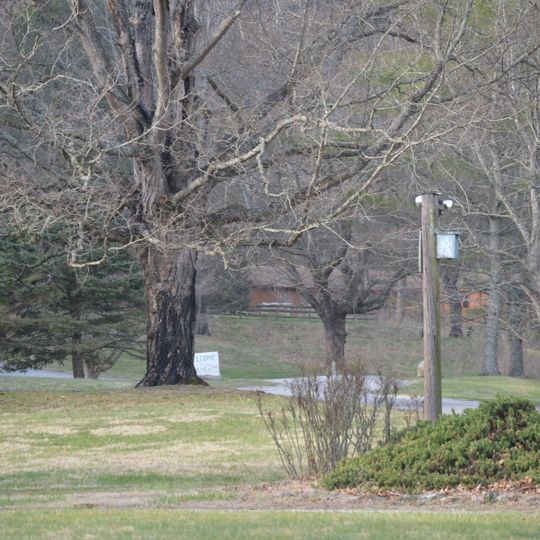 Crockett Springs Cottage