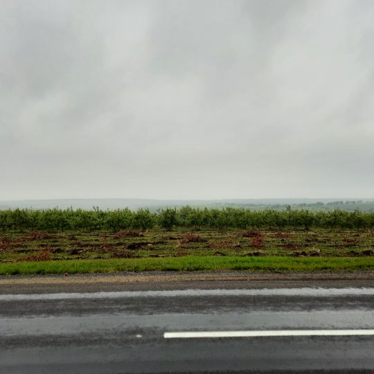 Arionești VIII settlement