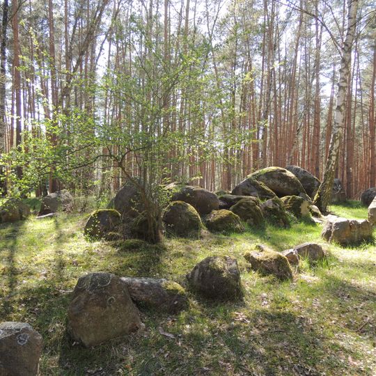 Großsteingrab ALV 33