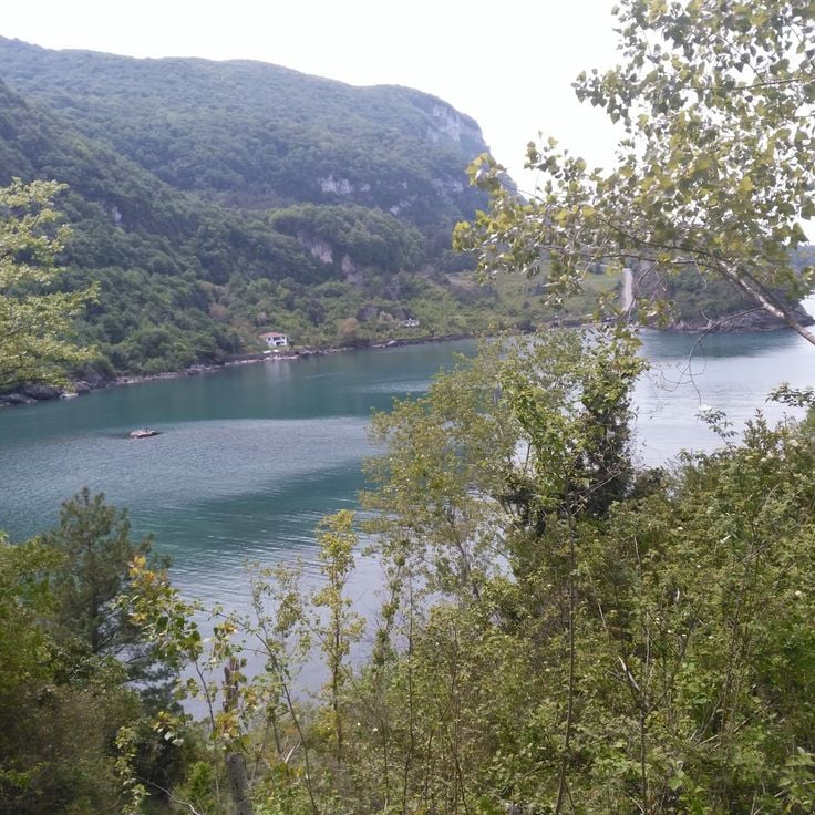Gideros Bay(Koyu)