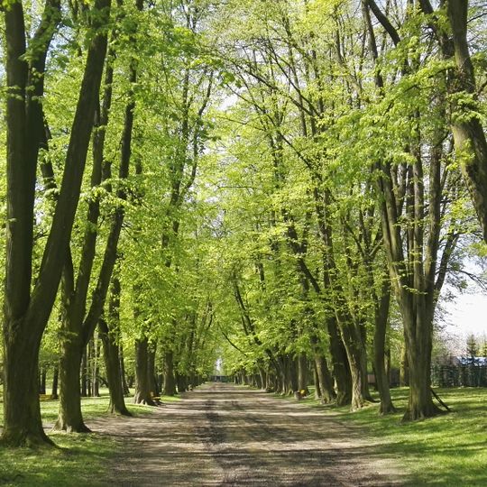 Parco cittadino "Eroi di Monte Cassino"