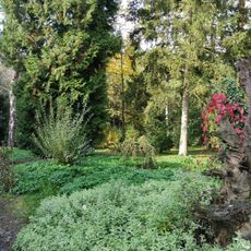 Arboretum Střední lesnické školy v Hranicích
