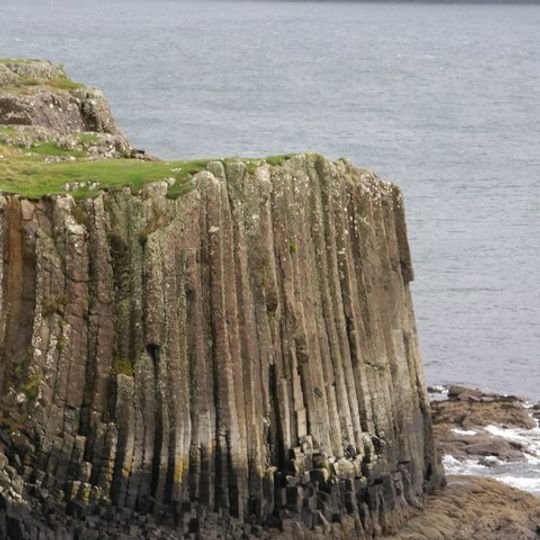 Ulva