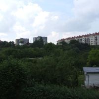 Rury