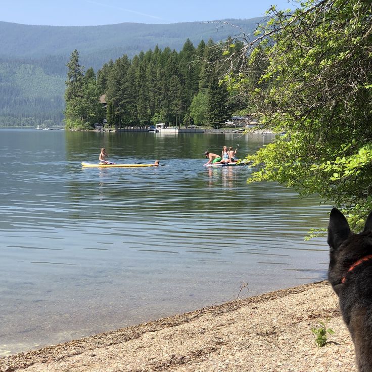 Area di Utilizzo Giornaliero del Lago Swan