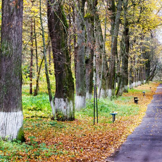 Парк текстильной фабрики Занегина )