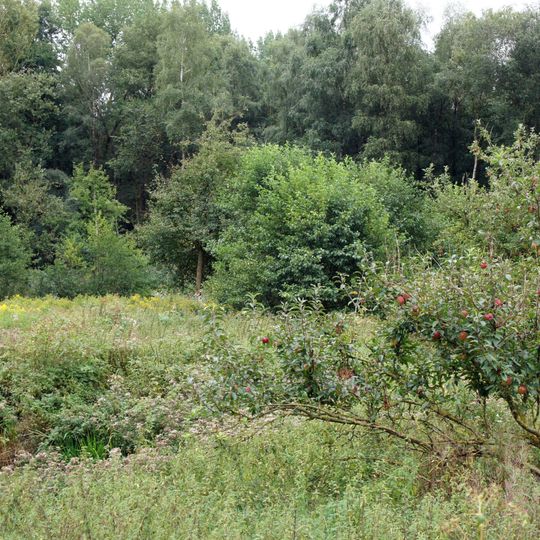 Tal des Altonaer Mühlenbaches und Bauernschaft Busch