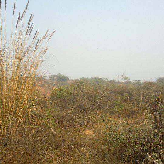 Aravali Biodiversity Park, Gurgaon