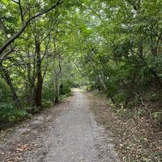 Governor Furnas Arboretum