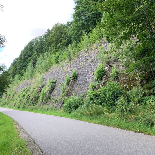 Bahndamm Muldentalbahn Penig